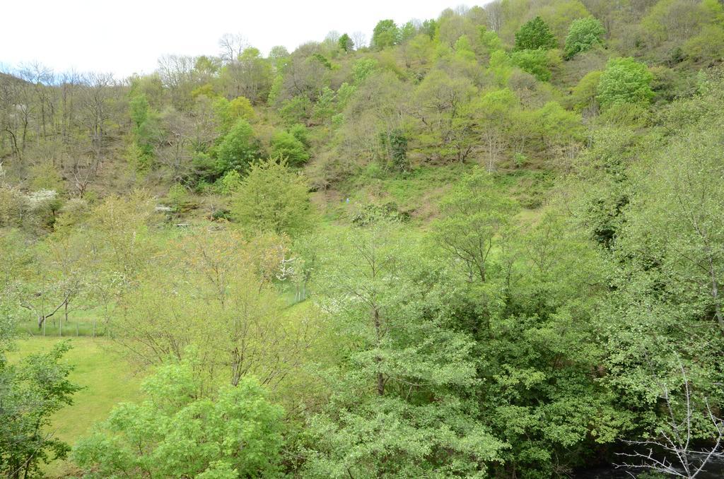 Apartamentos El Rincon De Limes كانجاس ديل نارسيا المظهر الخارجي الصورة
